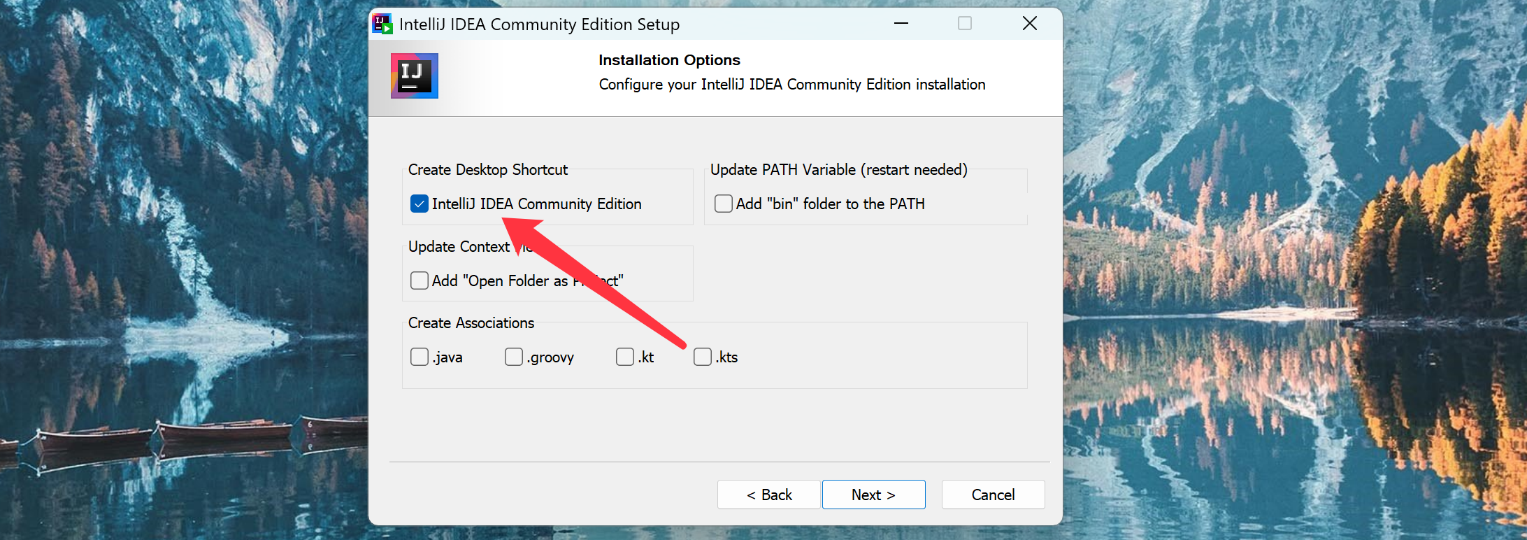 IDEA Installer Options